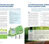 Fête de la forêt 2018