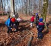 Fête de la forêt 2016