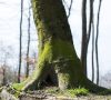 Ramassage des déchets