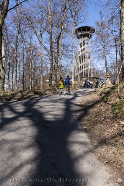 Arbracadra 2019 – Fête de la forêt