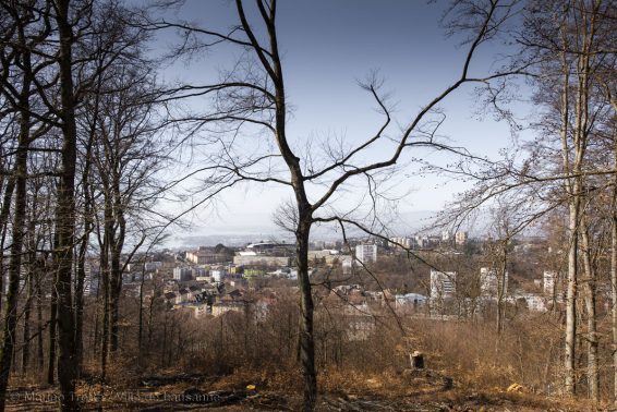 Arbracadra 2019 – Fête de la forêt