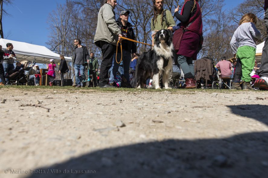 Arbracadra 2019 – Fête de la forêt