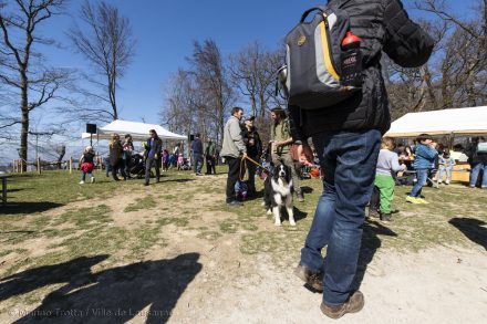 Arbracadra 2019 – Fête de la forêt