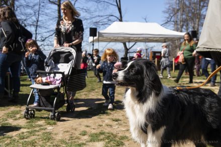 Arbracadra 2019 – Fête de la forêt