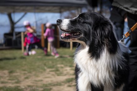 Arbracadra 2019 – Fête de la forêt