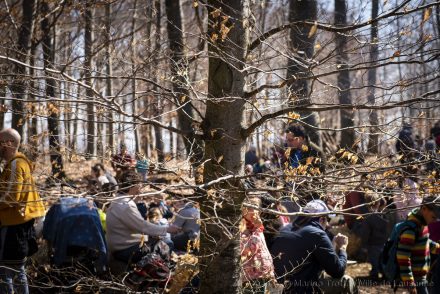 Arbracadra 2019 – Fête de la forêt