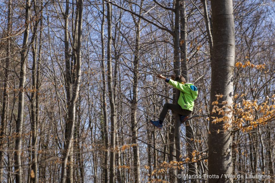 Arbracadra 2019 – Fête de la forêt
