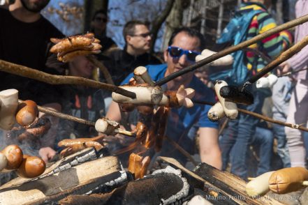 Arbracadra 2019 – Fête de la forêt