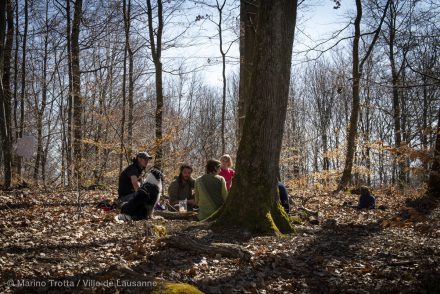 Arbracadra 2019 – Fête de la forêt