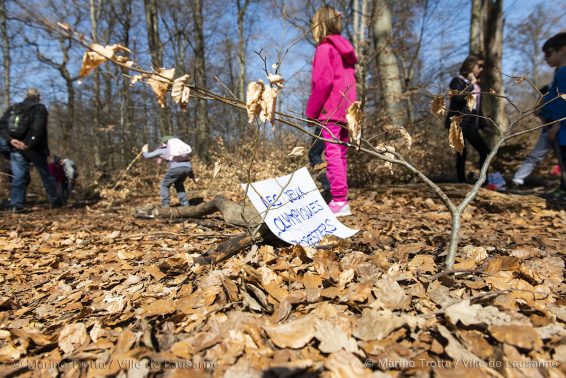 Arbracadra 2019 – Fête de la forêt